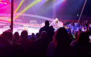 TIGRE AVANÇA EM DIREÇÃO Á PLATEIA APÓS BARREIRA CEDER DURANTE SHOW EM CIRCO NA RÚSSIA