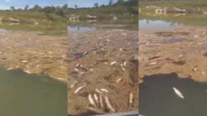 ATUALIZAÇÃO SOBRE POSSÍVEL CONTAMINAÇÃO NO LAGO SERRA DA MESA