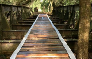 PONTE METÁLICA DE 20 METROS DESAPARECE E É ENCONTRADA EM OUTRO MUNICÍPIO EM MINAS